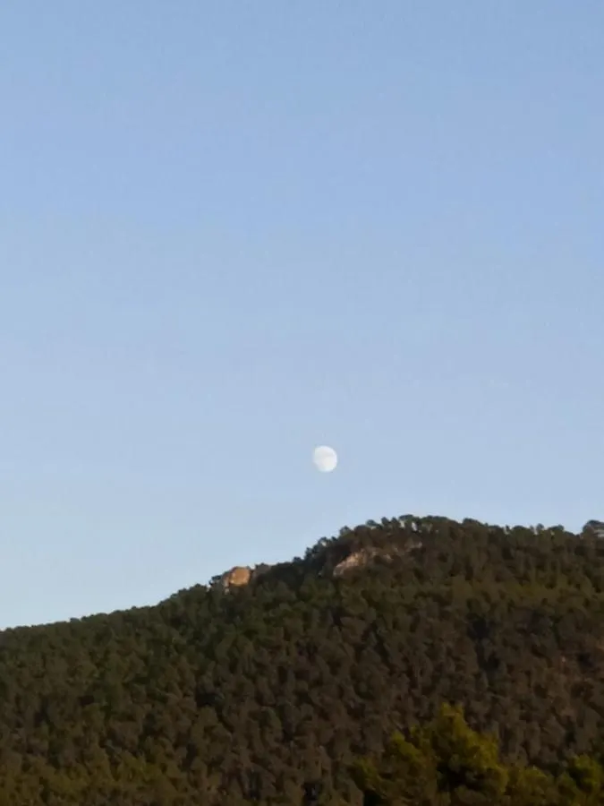 Pirats Des Vedra contacts